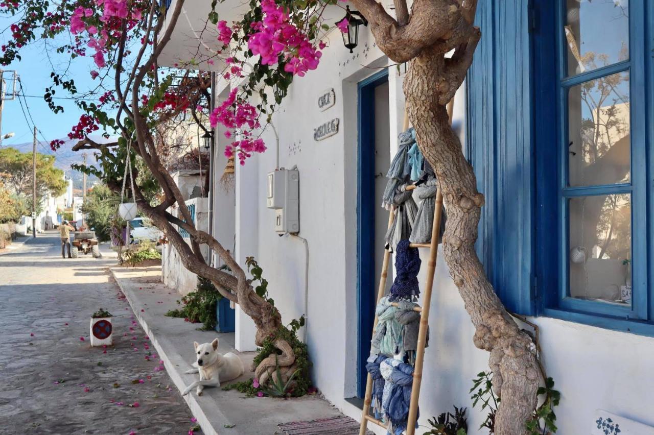 Valley View House Anopolis  ภายนอก รูปภาพ